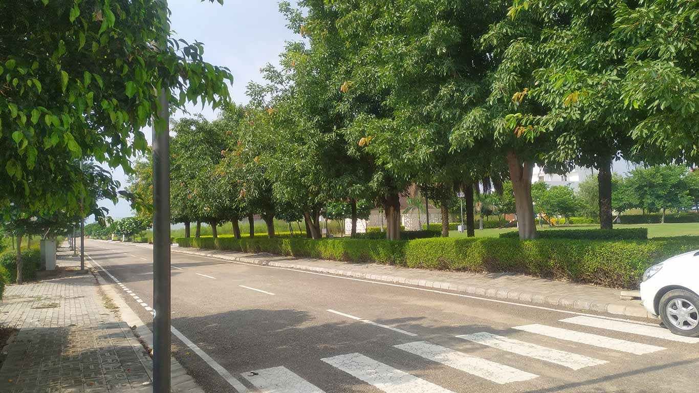 Photograph of a tree-lined internal road with a paved footpath and hedges beside a park in DLF Hyde Park Estate, New Chandigarh
