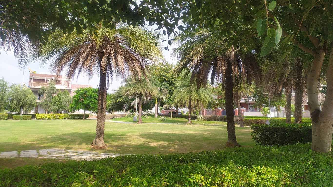 Photograph of a landscaped park with lawns, palm trees and a stone path among homes in DLF Hyde Park Estate, New Chandigarh