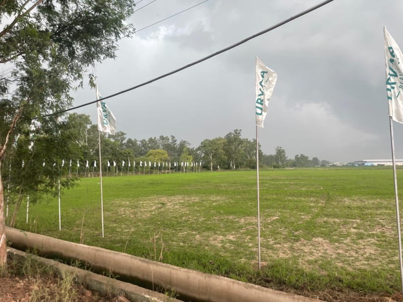 Photo of the Urvaa Realty site near Rajpura: open green farmland marked with white Urvaa flags along a roadside drain