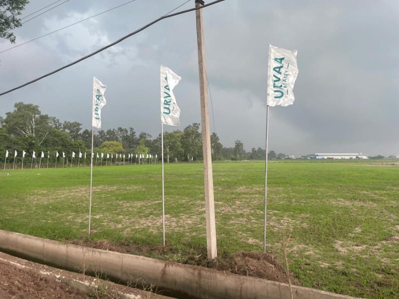 Photo of the Urvaa Realty site near Rajpura with Urvaa Realty flags in the foreground and a line of flags along the far boundary